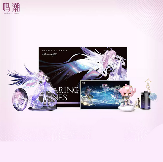【8月予約商品】鳴潮 中国 エイメス「環宇穹音」テーマBOX｜2026年10月末発送予定